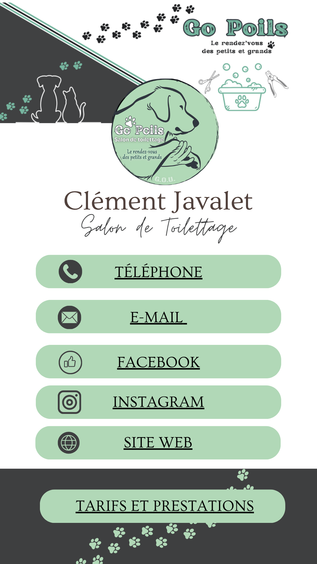 Go Poils — Salon de toilettage (Lancement, novembre 2024) - Image 3