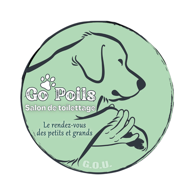 Go Poils — Salon de toilettage (Lancement, novembre 2024)